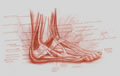 Michael Hensley Drawings, Human Feet 21